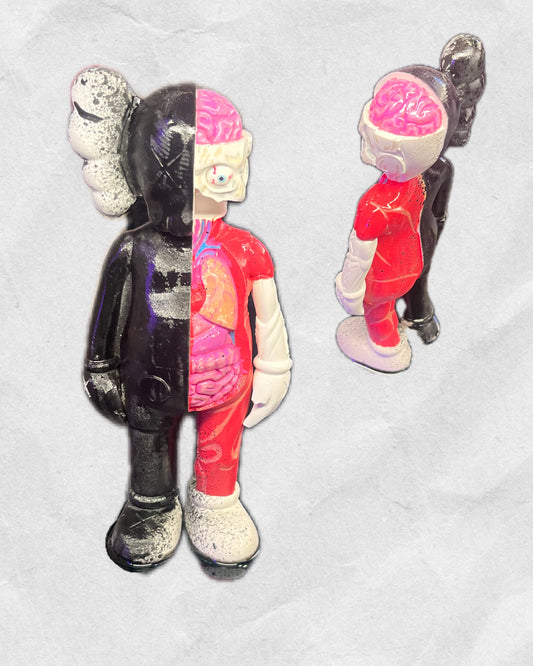 HALF&HALF (Autonomy vs. Anatomy)